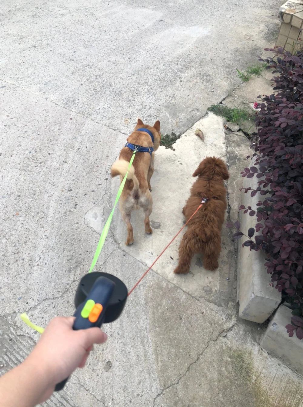 Purrfect&Pawesome™ 360° Dual Dog Leash